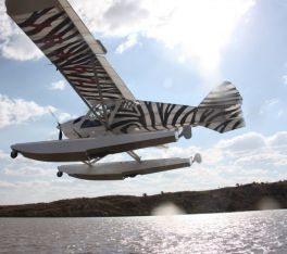 ultralekki-samolot-bushcat (10).jpg