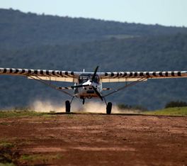 ultralekki-samolot-bushcat (31).jpg